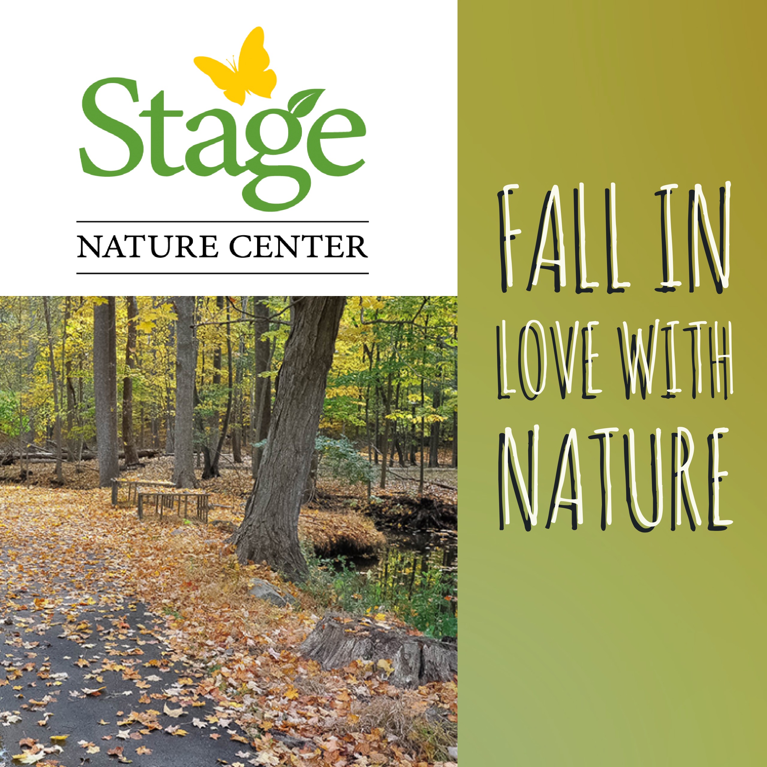 PROGRAMS & EVENTS | Stage Nature Center