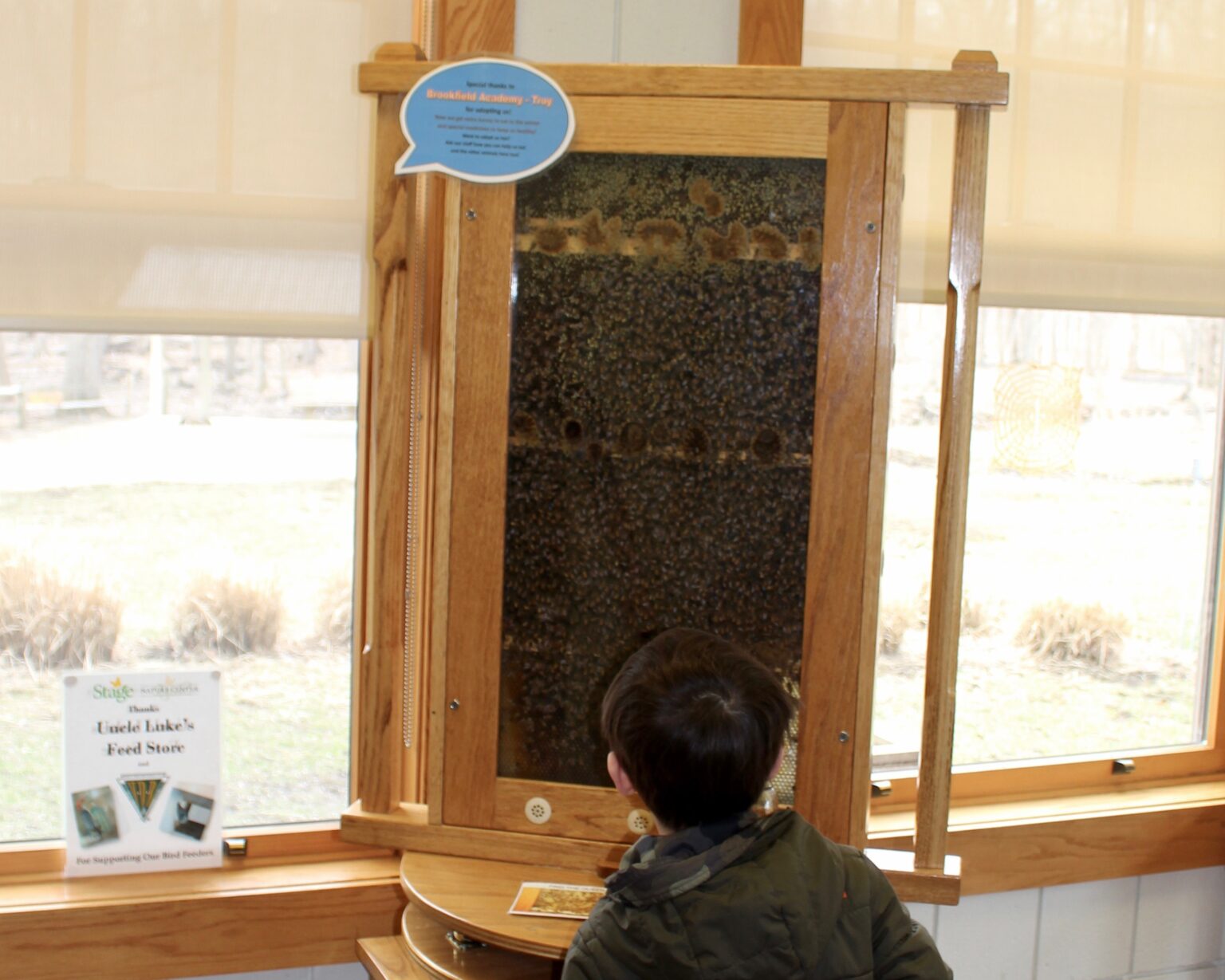 Things To Do At SNC – Stage Nature Center
