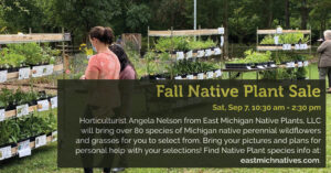 15 Fall Native Plant Sale 2024 Summer