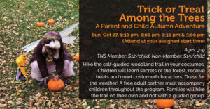 13 Trick or Treat Fall Fliers 2024