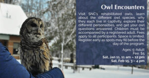 08 Owl Encounters 2024-25 Winter