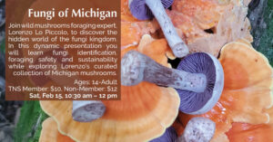 11 Fungi of Michigan 2024-25 Winter